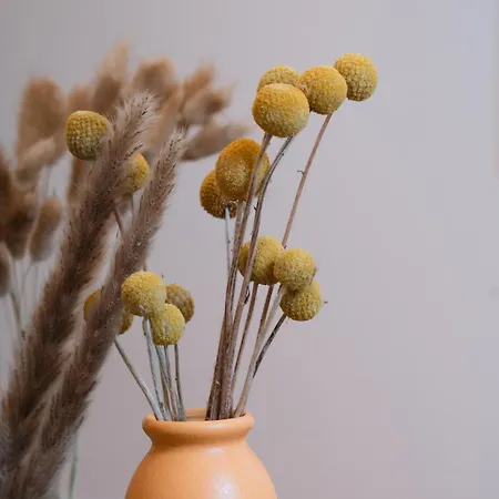 Casamusa 아파트 팔레르모